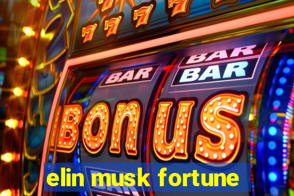 elin musk fortune