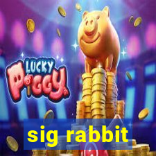 sig rabbit