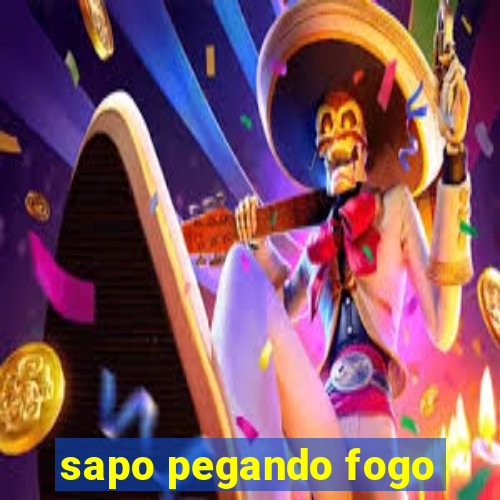 sapo pegando fogo