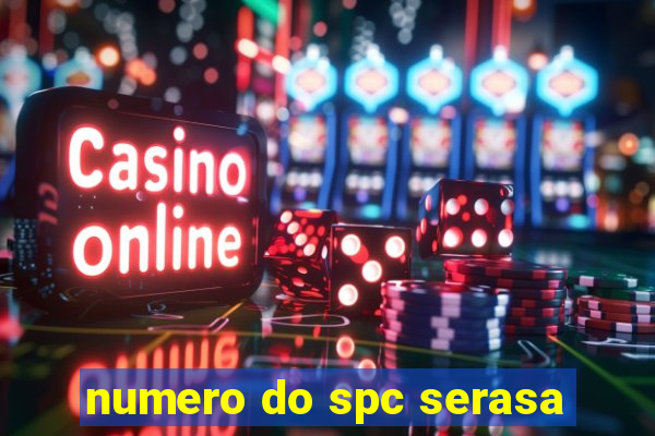 numero do spc serasa