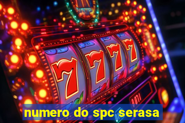 numero do spc serasa