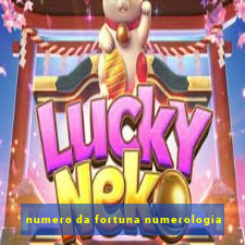 numero da fortuna numerologia