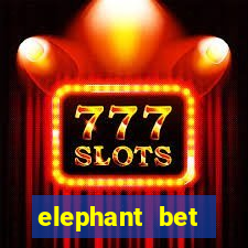 elephant bet angofoot apostas desportivas