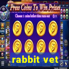 rabbit vet