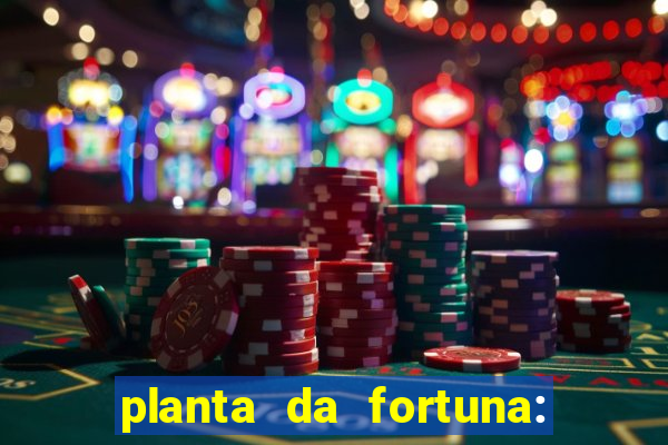 planta da fortuna: como cuidar