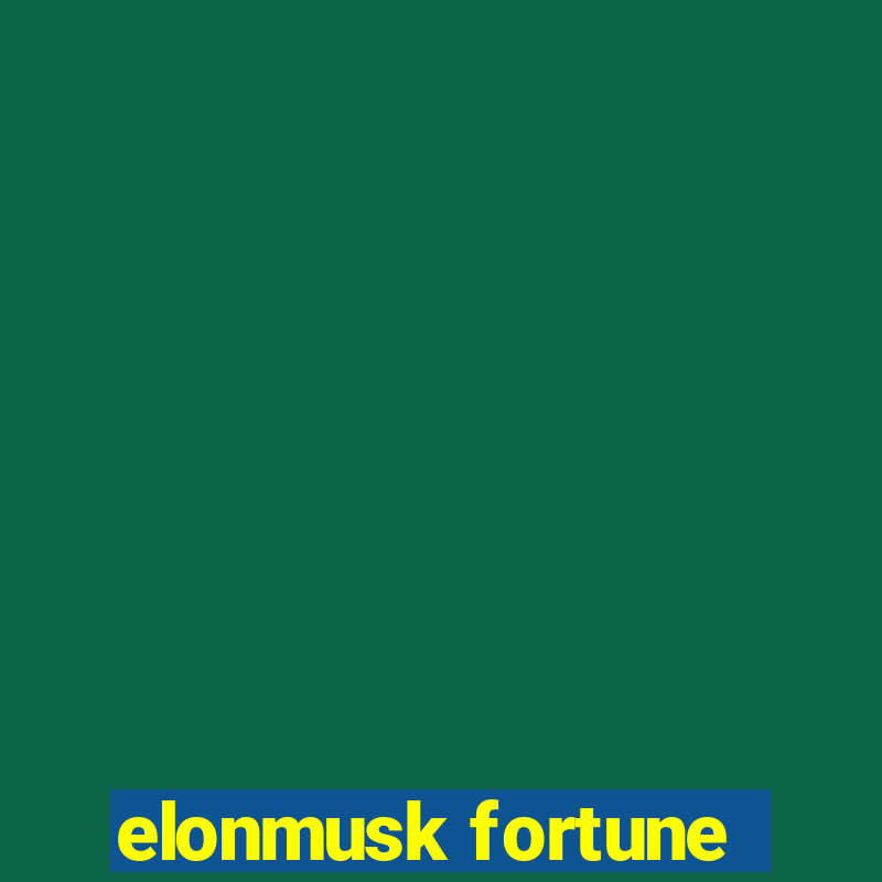 elonmusk fortune