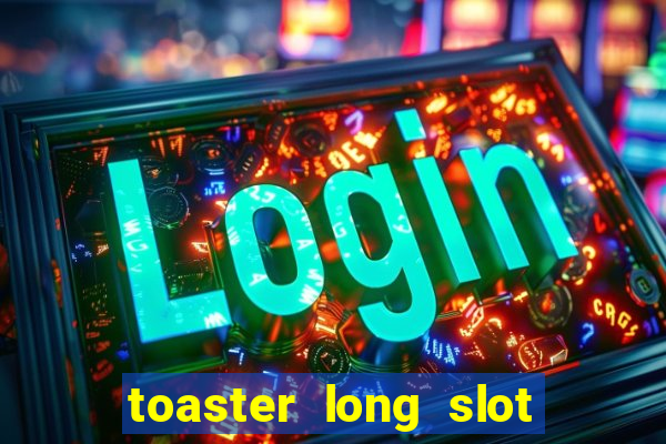 toaster long slot 2 slice