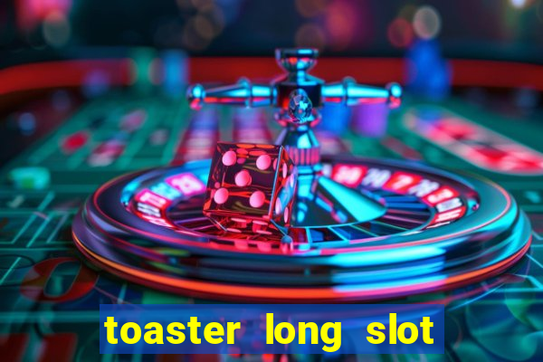 toaster long slot 2 slice