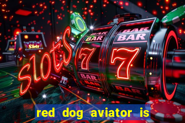 red dog aviator is real or fake