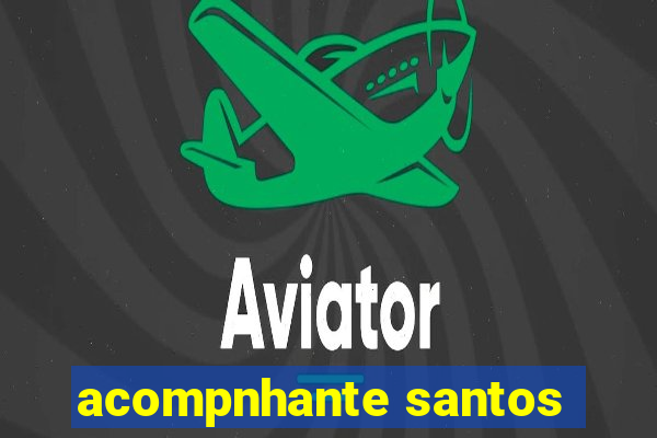 acompnhante santos