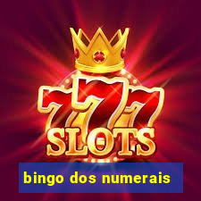 bingo dos numerais