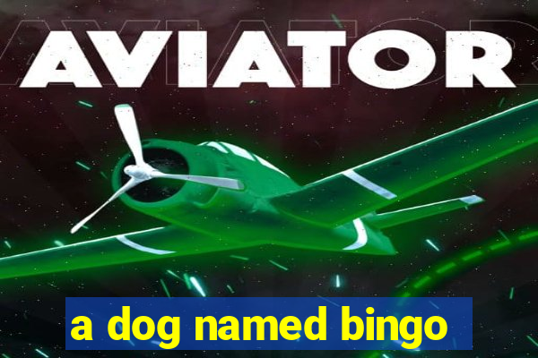 a dog named bingo