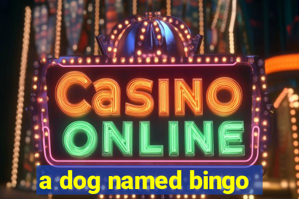 a dog named bingo