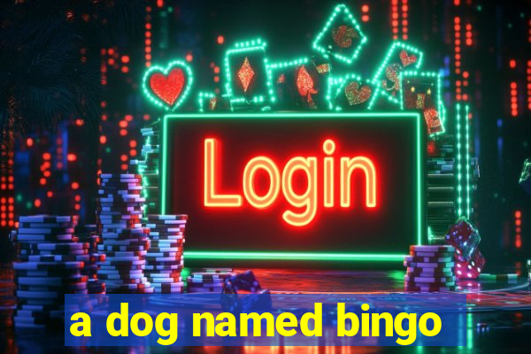 a dog named bingo