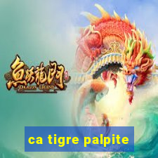 ca tigre palpite