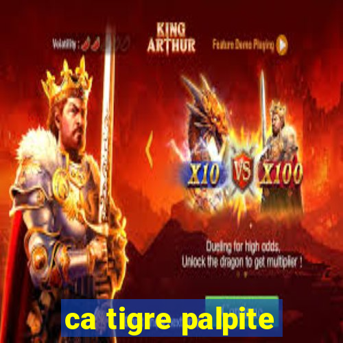 ca tigre palpite