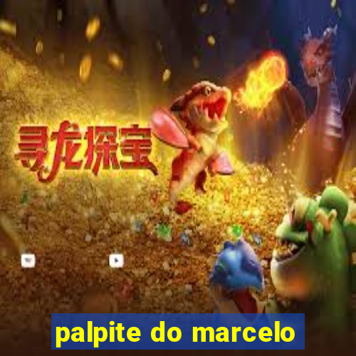 palpite do marcelo