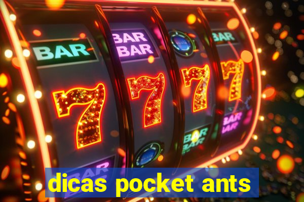 dicas pocket ants