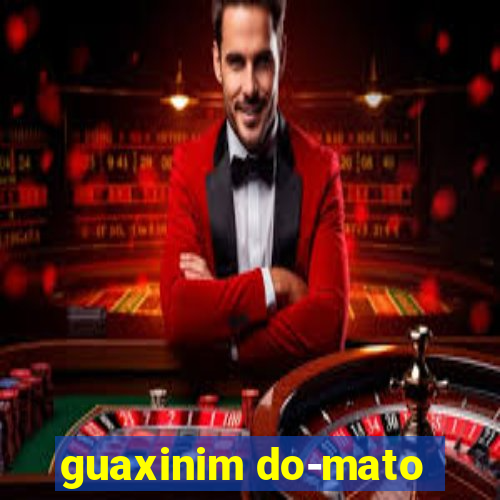 guaxinim do-mato