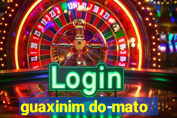 guaxinim do-mato