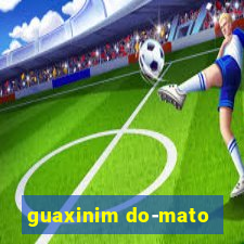 guaxinim do-mato