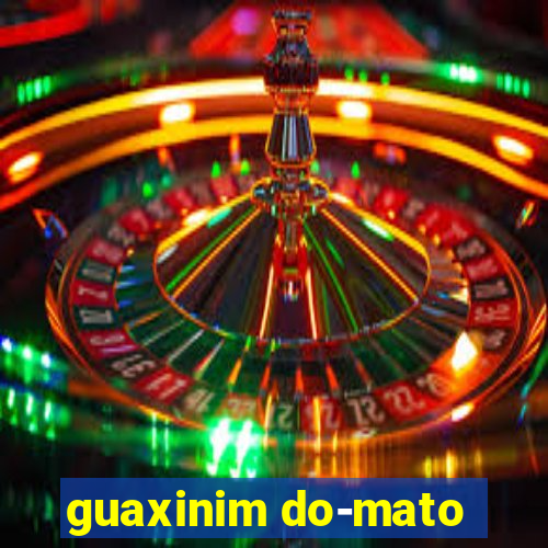 guaxinim do-mato