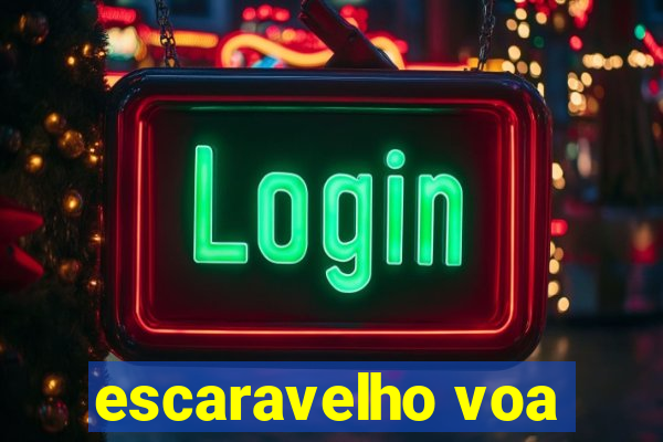 escaravelho voa