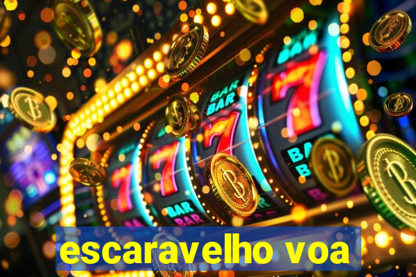 escaravelho voa