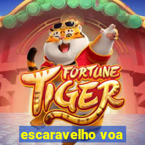 escaravelho voa