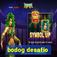 bodog desafio