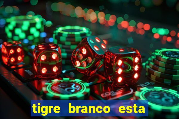 tigre branco esta em extinção