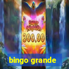 bingo grande