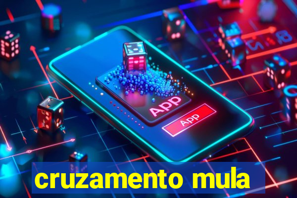 cruzamento mula