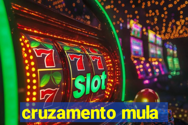 cruzamento mula