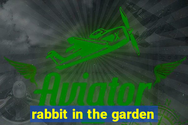 rabbit in the garden