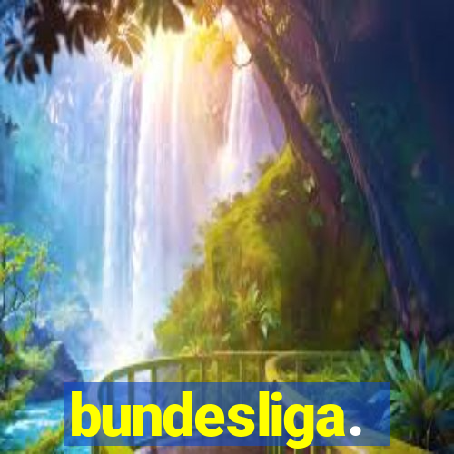 bundesliga.