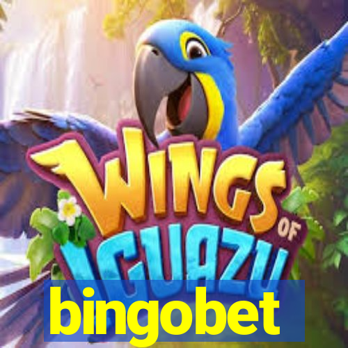 bingobet