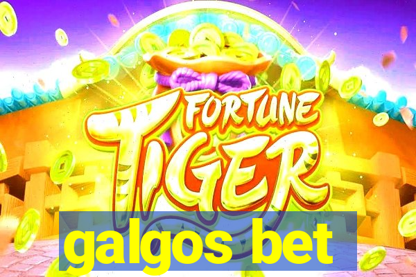 galgos bet