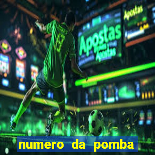 numero da pomba jogo do bicho