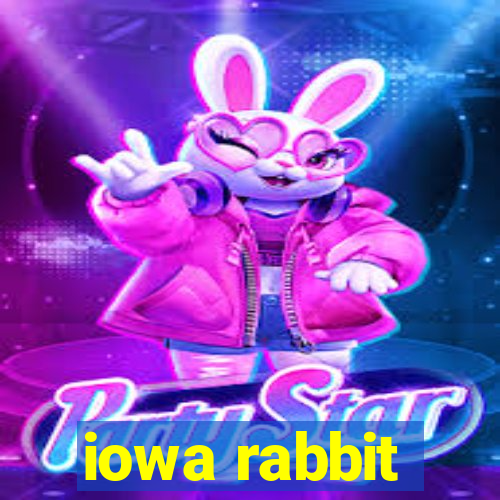 iowa rabbit