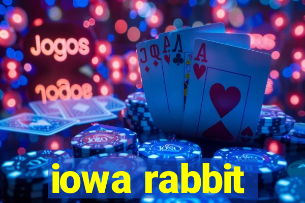 iowa rabbit