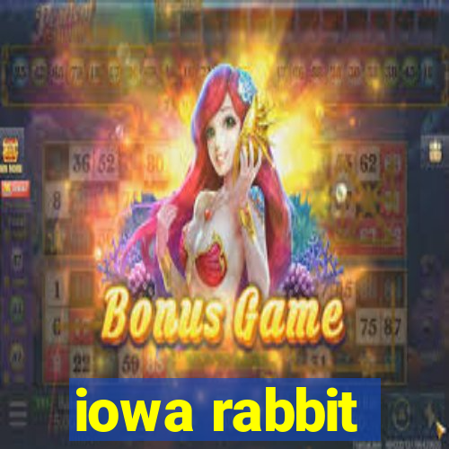 iowa rabbit