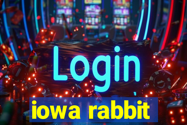 iowa rabbit