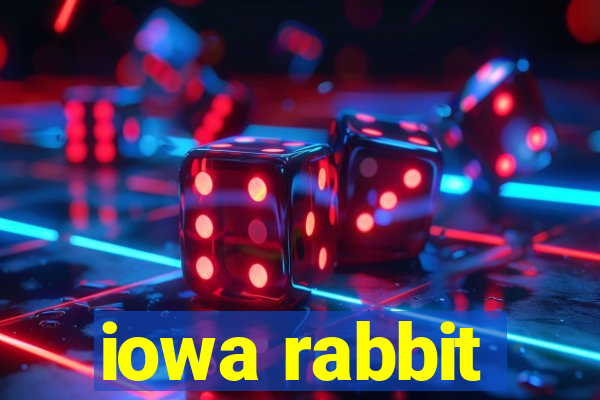 iowa rabbit