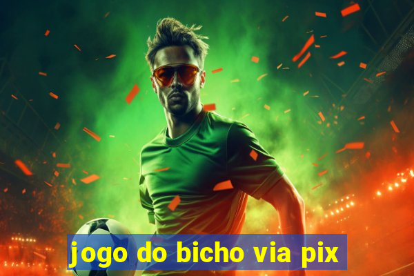 jogo do bicho via pix