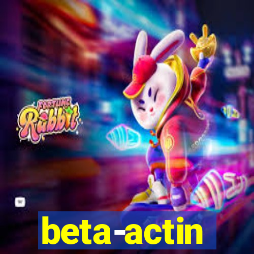 beta-actin