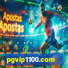 pgvip1100.com