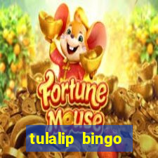 tulalip bingo casino review