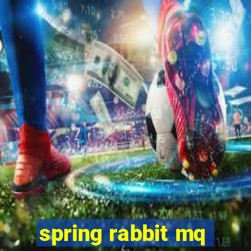 spring rabbit mq