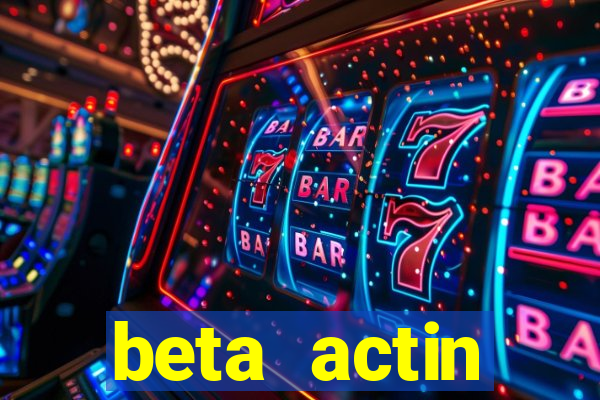 beta actin molecular weight